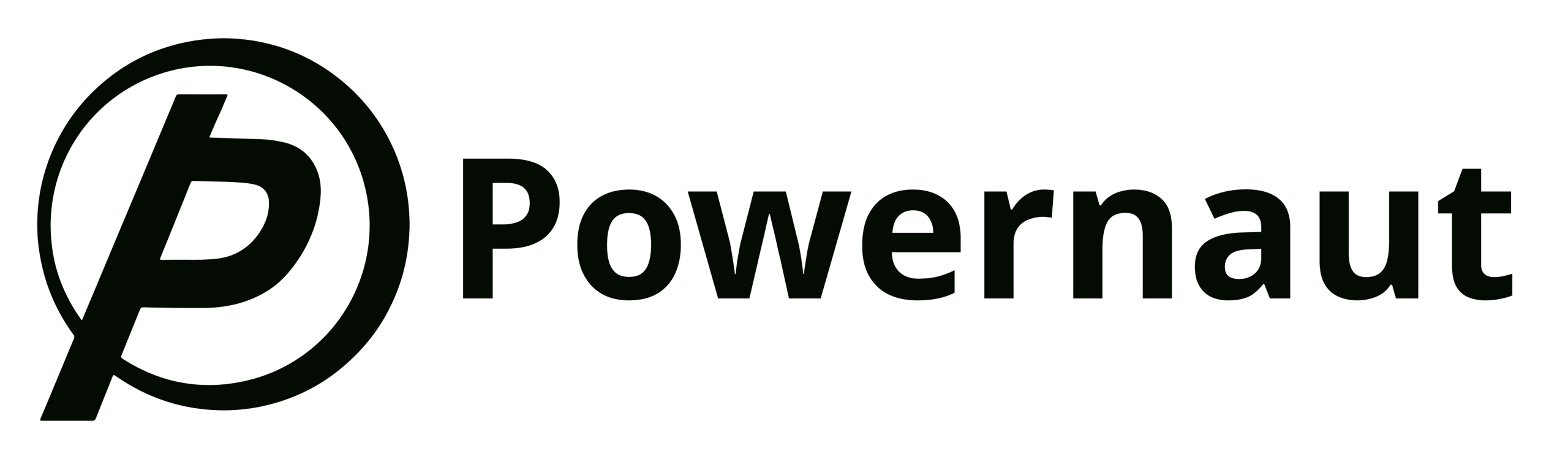 PowerNaut logo