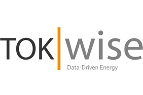 TokWise logo